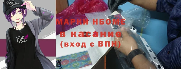 стаф Магас