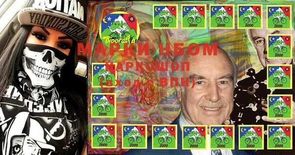 стаф Магас