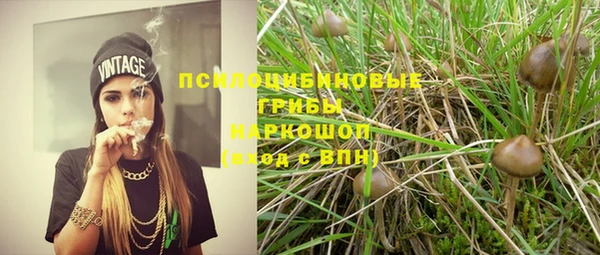 spice Лиски