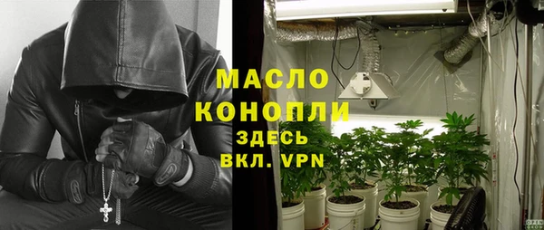 стаф Магас