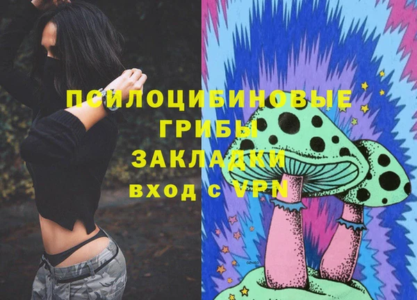 шишки Липки